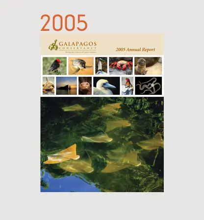Annual Reports Financials