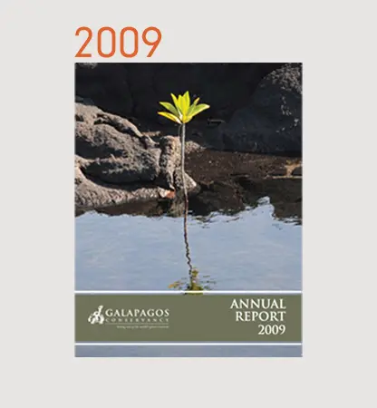 Annual Reports Financials