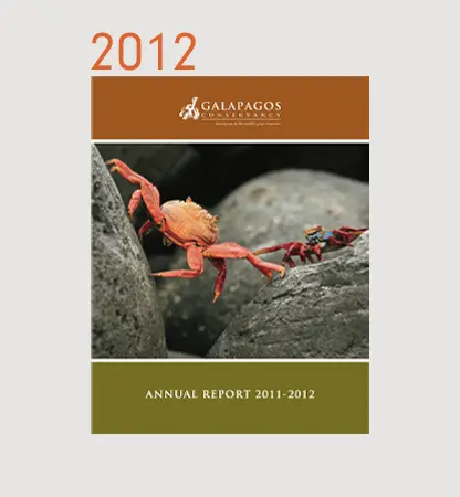 Annual Reports Financials