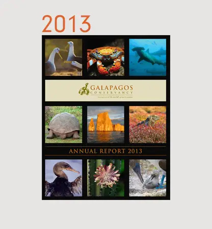 Annual Reports Financials