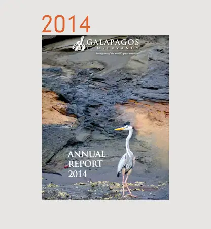 Annual Reports Financials