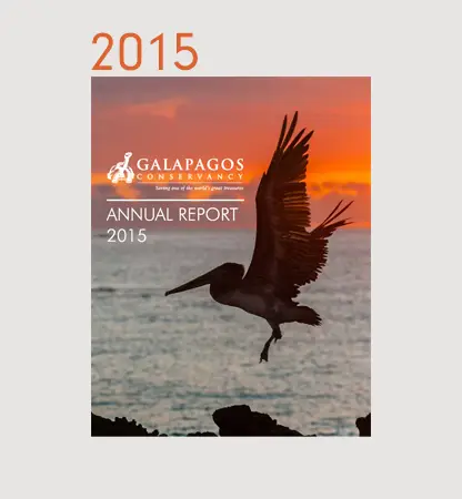 Annual Reports Financials