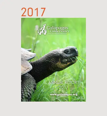 Annual Reports Financials