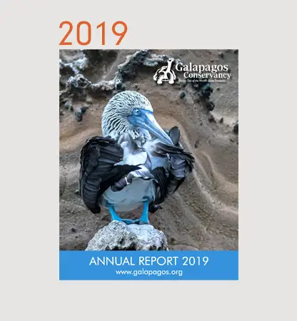 Annual Reports Financials