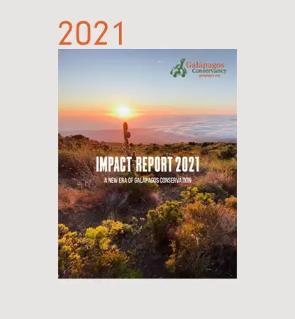 Annual Reports Financials
