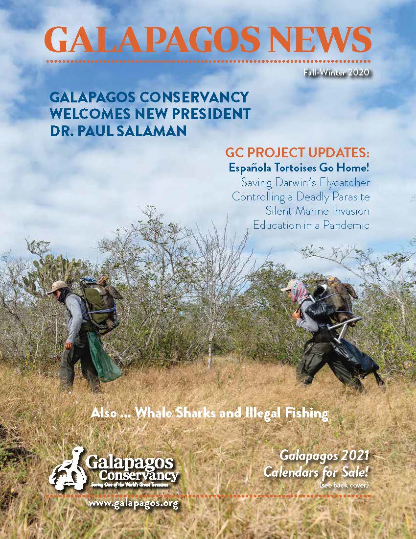 Galápagos Post Fall 2020