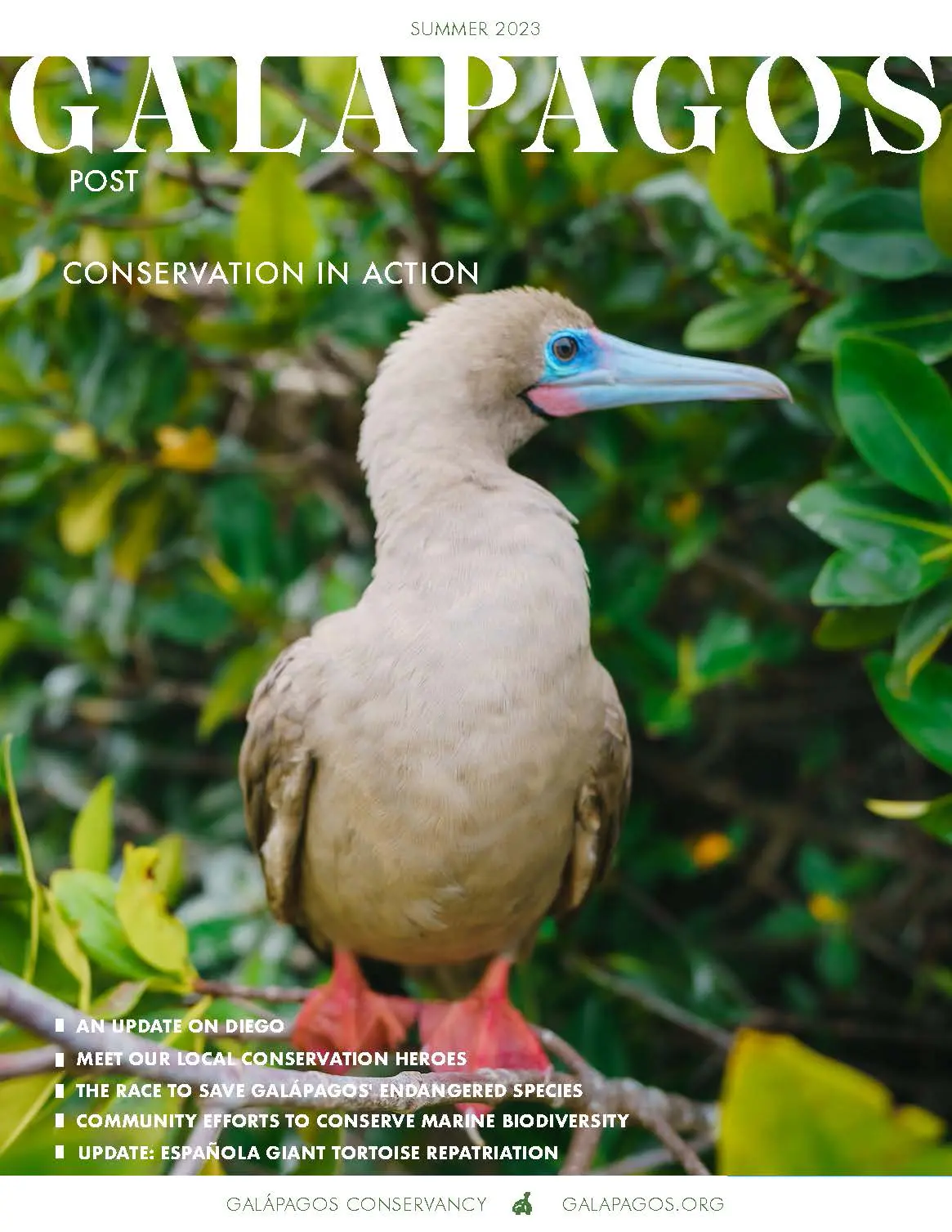 Galapagos post summer 2023