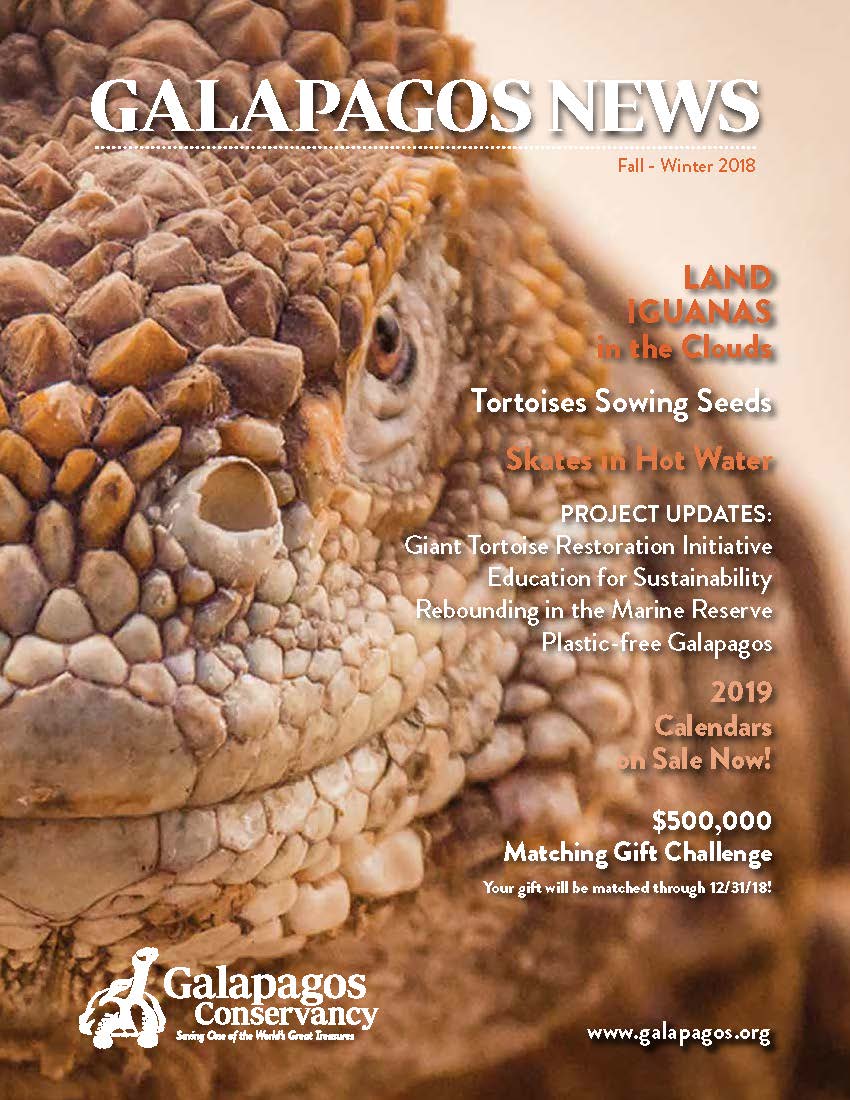 Galápagos Post Fall 2018