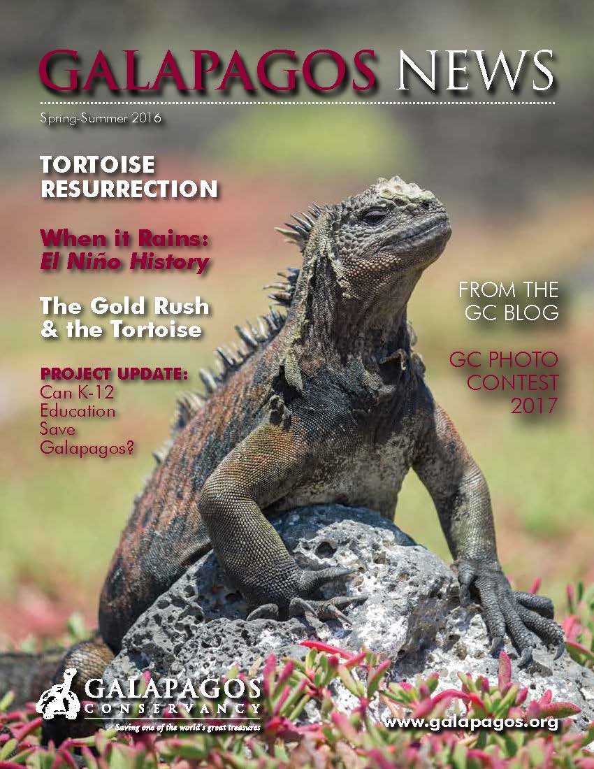 Galápagos Post Fall 2016