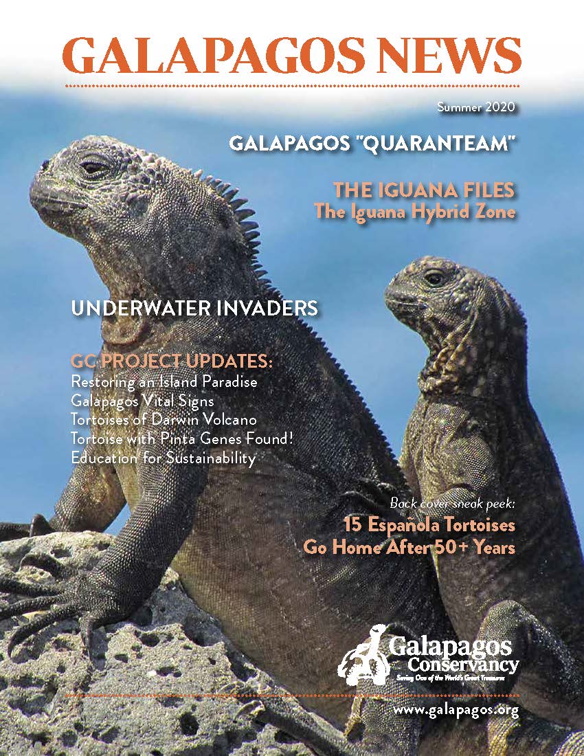 Galapagos post summer 2020