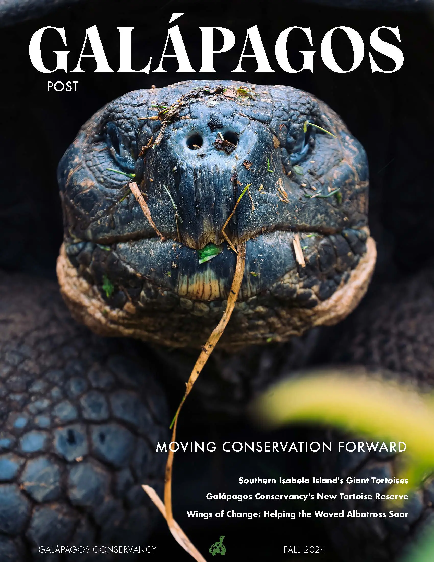 Galápagos Post Fall 2024
