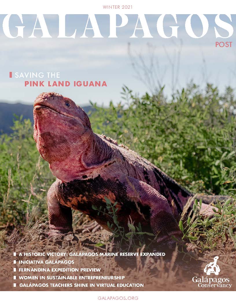 Galápagos Post Fall 2021