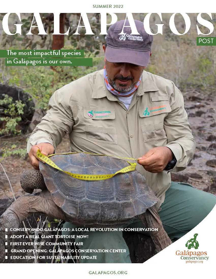 Galapagos post summer 2023