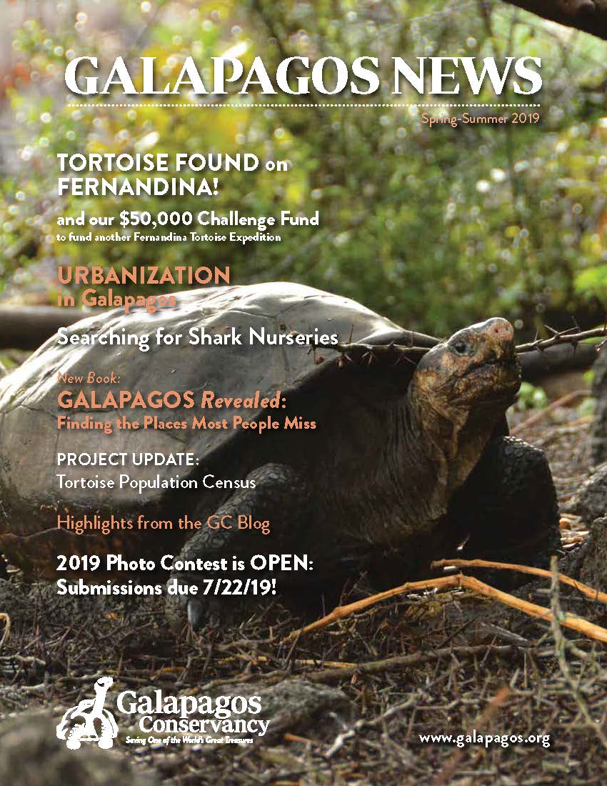 Galápagos Post Fall 2019
