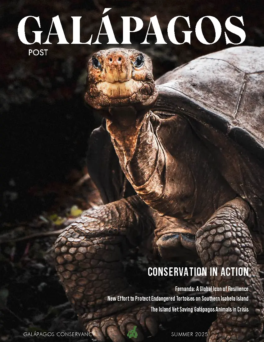 Galapagos post summer 2025